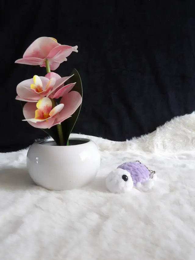 Tortue violet