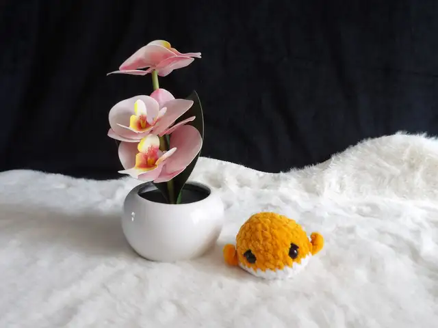 Baleine orange