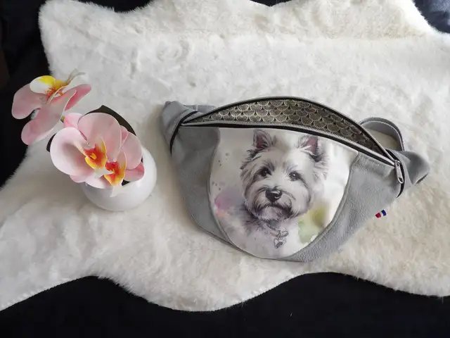 Animaux