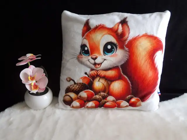 Coussin