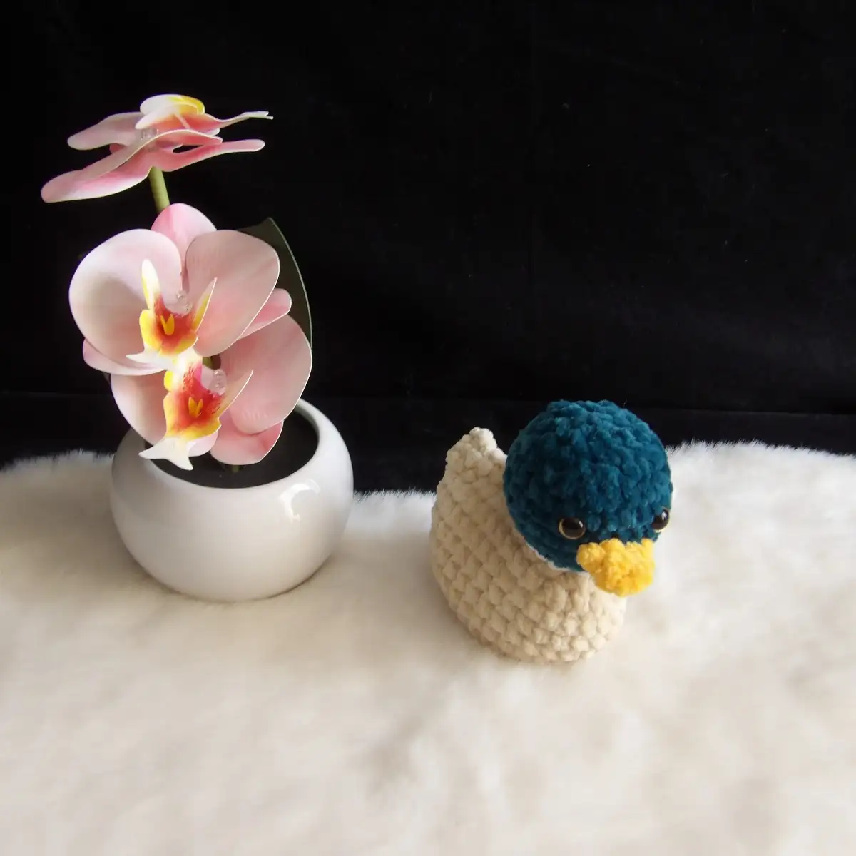 Canard