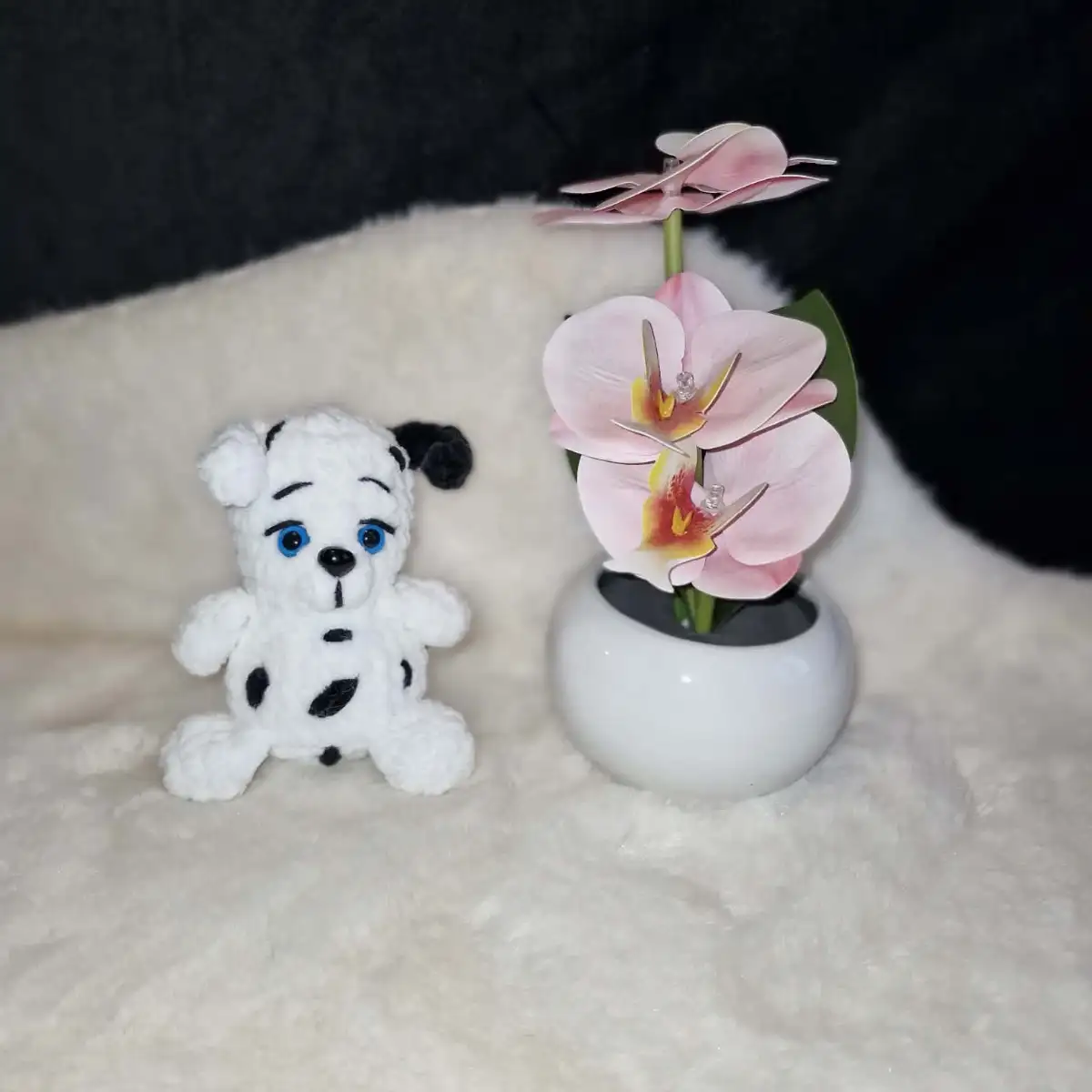 Petit chien