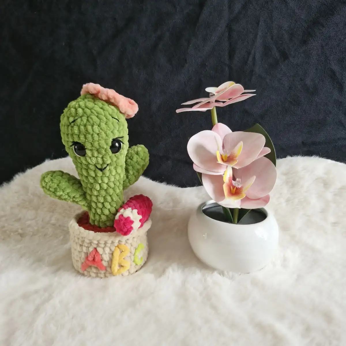Cactus ABC