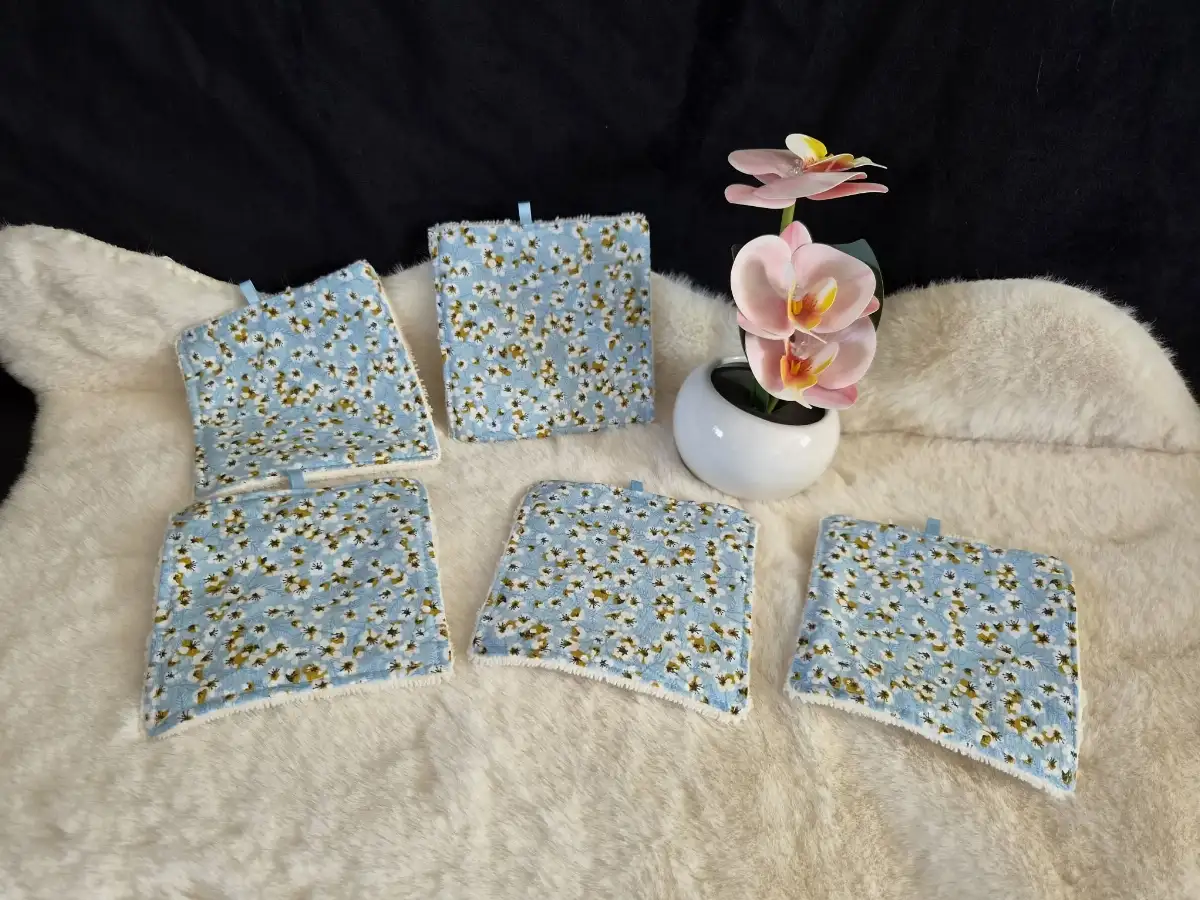 Lots de 5 lingettes